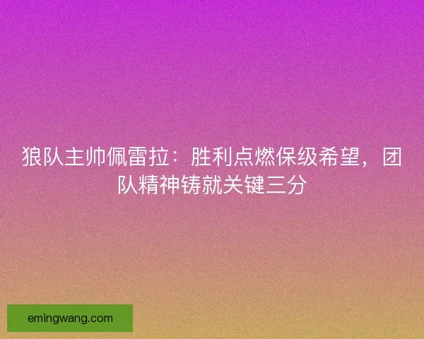 狼队主帅佩雷拉：胜利点燃保级希望，团队精神铸就关键三分