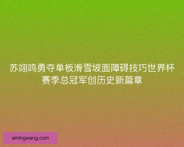 苏翊鸣勇夺单板滑雪坡面障碍技巧世界杯赛季总冠军创历史新篇章 苏翊鸣勇夺单板滑雪坡面障碍技巧世界杯赛季总冠军创历史新篇章