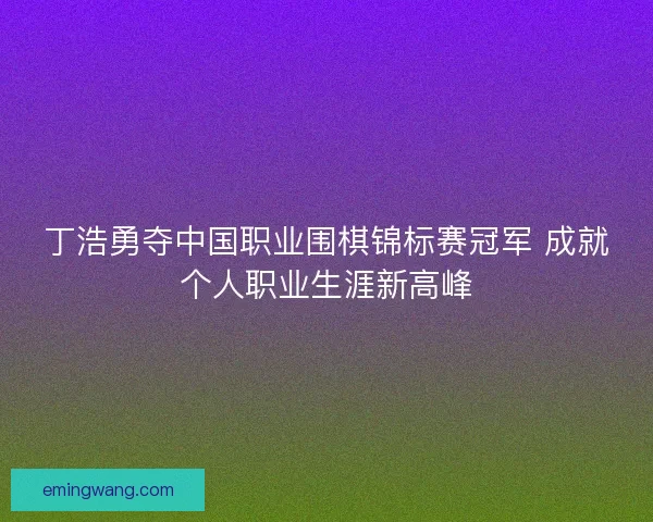 丁浩勇夺中国职业围棋锦标赛冠军 成就个人职业生涯新高峰 丁浩勇夺中国职业围棋锦标赛冠军 成就个人职业生涯新高峰